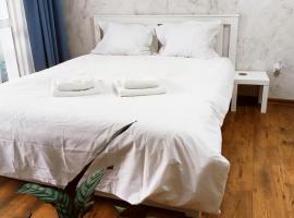 STUDIO JACUZZI BELLE VIEW SINAIA-free parking，位于锡纳亚的带热水浴缸的酒店