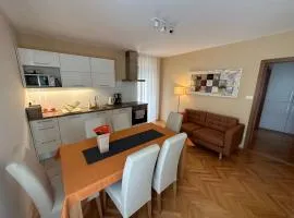 Apartment with balcony Hiša Brdo 48