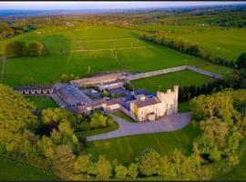 Skryne Castle，位于Ross Cross Roads的乡间豪华旅馆