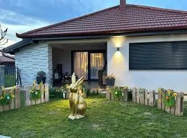 Nice Home In Bizovac With Sauna