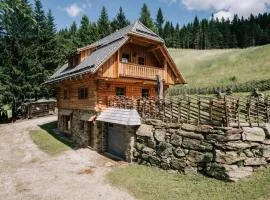 Webertonihütte Modern retreat