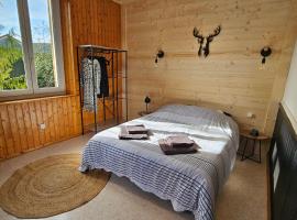 Appartement Chaleureux Gérardmer proche forêt，位于热拉梅的酒店