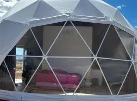 Barbie Dome