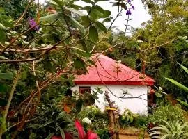 The Jungle Life Homestay Thangamalay Sanctuary Haputale by Gisela Sivam