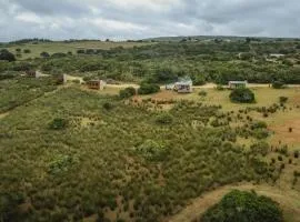 Baardbos Private Game Reserve