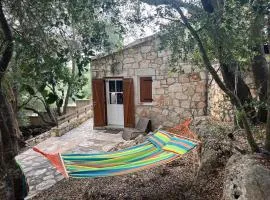 La casa tra gli alberi e il cottage