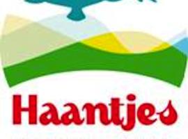Haantjes Vakantiepark，位于Formerum的海滩短租房