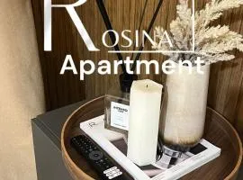 Rosina apartment Herculaneum