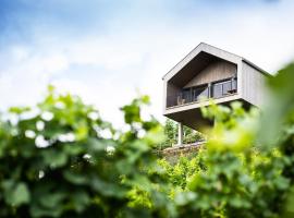 Ferienhaus Am Grassnitzberg，位于施皮尔费尔德的酒店