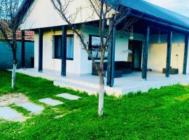 Tacchini's Home，位于Plosca的带停车场的酒店