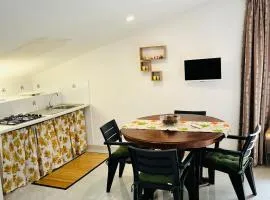 La Mansarda di Terelle