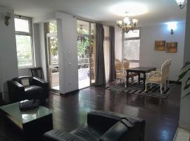 A Furnished Apartment at the heart of Addis Ababa, Ethiopia，位于亚的斯亚贝巴的公寓