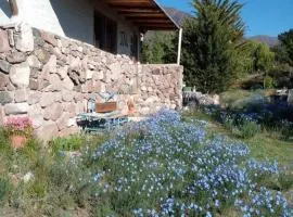 Refugio de Montaña - Casa de la Paz