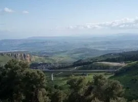 Two stand-alone flats on the cliff with wild animals, Galilee Sea & Mountains View