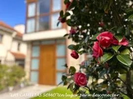 "LAS CAMELIAS SOMO" un lugar para desconectar!! Vistas al MAR!!