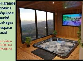 Le Belvédère du Piton Hyacinthe grande villa capacité 22 personnes avec vrai jacuzzi billard trampoline babyfoot，位于卡夫尔高原的酒店