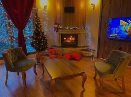 River Didi Otel，位于里泽的酒店