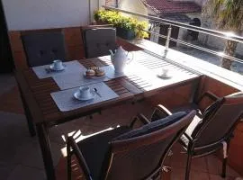 Apartment Branka