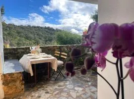 Alojamiento La Casa del Pintor