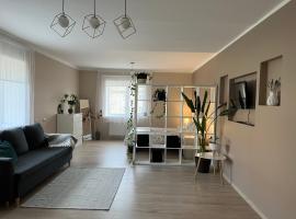 Palova Brown，位于Vilgāle的酒店