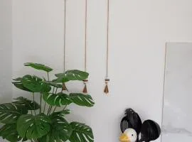 Studio Biokovo smaller object 22 m2