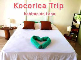 Kocorica，位于帕里塔的住宿加早餐旅馆