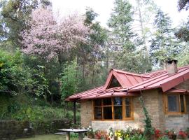 Snow View Cottage Kasardevi，位于阿尔莫拉的酒店