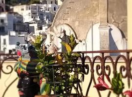 L'Osservatorio - Luxury Guest House，位于卡普里的酒店