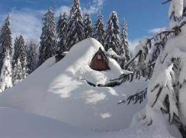 多梅科德鲁尼古拉奇山间小屋，位于新塔尔格的山林小屋