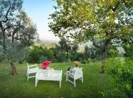Ferienhaus für 4 Personen ca 60 qm in Montecatini Terme, Toskana Provinz Pistoia