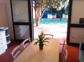 Ferienwohnung für 4 Personen 2 Kinder ca 60 qm in Norbello, Sardinien Barigadu