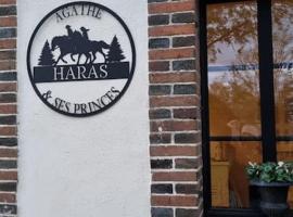 Gîte au Haras d'Agathe et ses princes，位于Les Barils的酒店