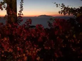 Anacapri Sunset La Piccola Oasi