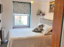 Cozymodernroom