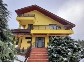 Predeal Holiday House