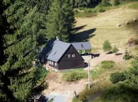 Appartement in Klingenthal mit Terrasse, Garten und Grill