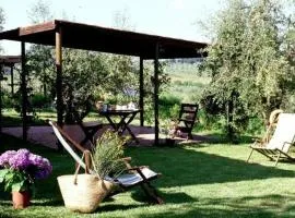 Ferienwohnung in Barberino Tavarnelle mit Privatem Garten - b58103