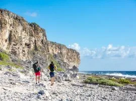 Tulixx Cayman Villa