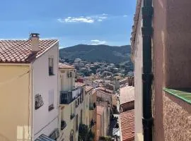 Maison Banyuls-sur-Mer, 3 pièces, 4 personnes - FR-1-309-435