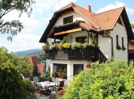 Große Ferienwohnung in Rauenstein mit Garten, Terrasse und Grill und Panoramablick，位于Rauenstein的低价酒店