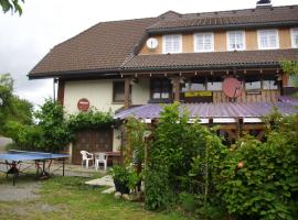 Beautiful apartment in a Black Forest house with conservatory，位于黑林山区贝尔瑙Spitzenberg Ski Lift附近的酒店