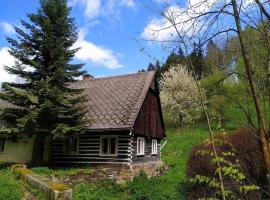 House in the rocks，位于Česká Metuje的酒店