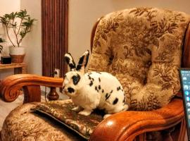 2 Rabbits，位于阿祖加的酒店