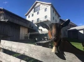 Tgesa Antgerna 1. OG