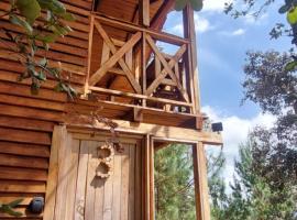 Cabaña en el Bosque de San José del Pacífico 3，位于El Pacífico的酒店