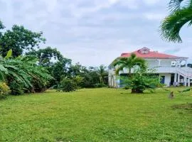 Maison cosy en pleine nature