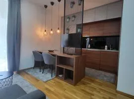 Serendipity Apartment