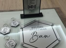 Studio Apartman Ban，位于Krnjača的酒店