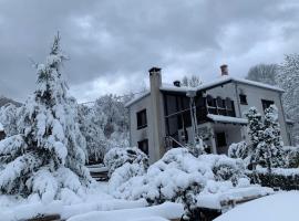 B&B Vila Babin zub，位于Balta Berilovac的酒店