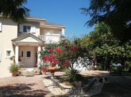 Olive Garden Studio，位于Mandrotopos的酒店